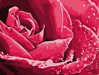 CKC029/Розы цвет -картина со стразами, CKC029