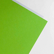 FOLIA Бумага цветная, 300 г/м2, 50х70 см, 10 л, зеленый травяной