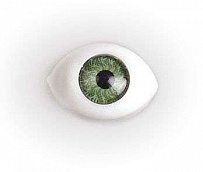 Глаза круглые выпуклые цветные TBY 11мм цв. зеленый упак 200шт.