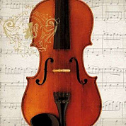 Салфетки бумажные 33х33см(20шт.) 1331712 Концерт для скрипки